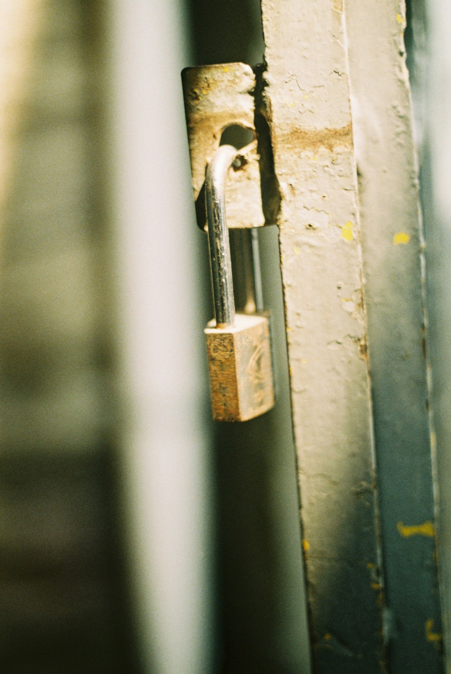 Pourquoi prioriser la sécurité de votre habitat